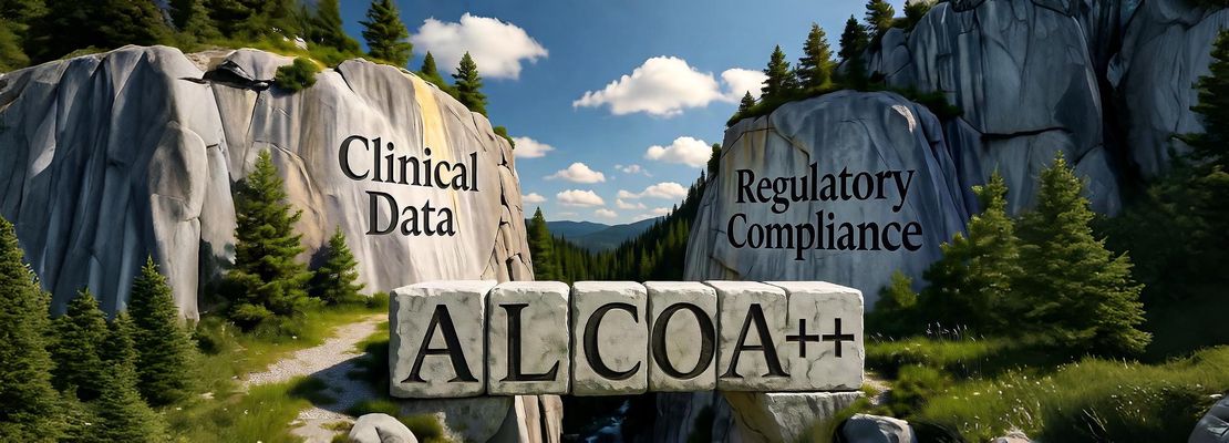 ALCOA++ in Practice - A New Dimension of Data Quality